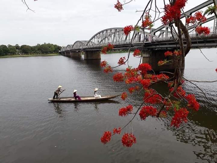 Tour Huế 1 Ngày