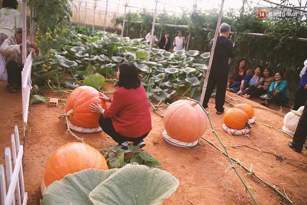 TOUR THAM QUAN SỞ THÚ ZOODOO  ĐÀ LẠT 1 NGÀY