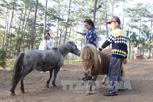 TOUR THAM QUAN SỞ THÚ ZOODOO  ĐÀ LẠT 1 NGÀY