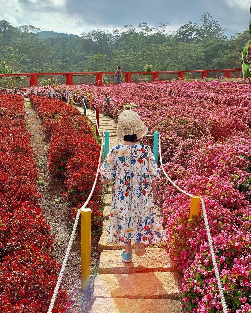 MỘT NGÀY NGOẠI THÀNH ĐÀ LẠT